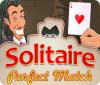 Solitaire Perfect Match oyunu